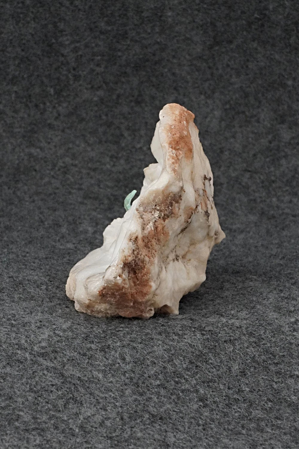 Buffalo Navajo Fetish Carving - Ron Goodluck