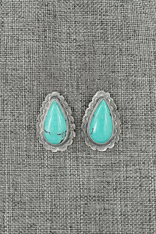 Turquoise & Sterling Silver Earrings - Carlos Francisco