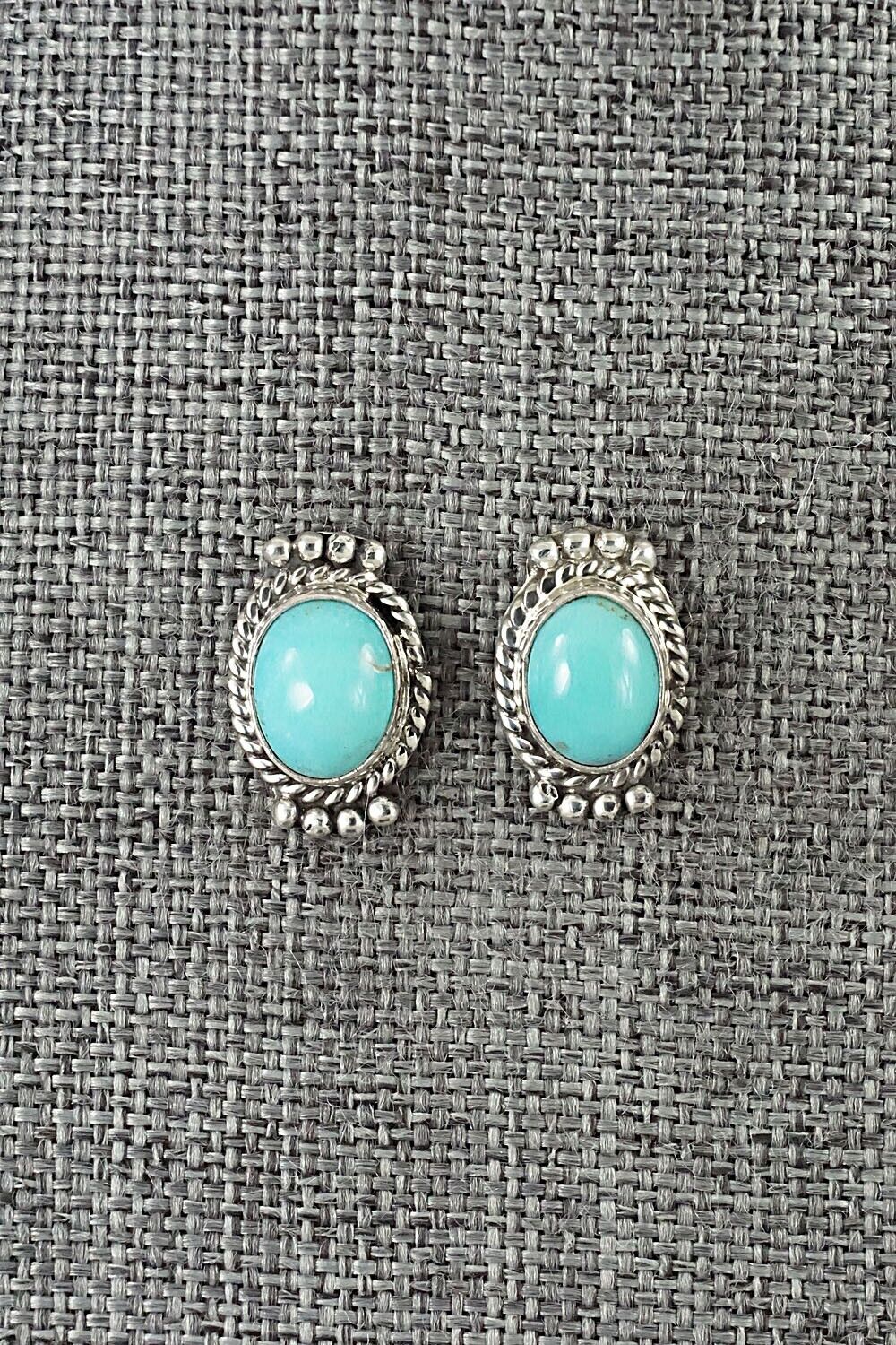 Turquoise & Sterling Silver Earrings - Jan Mariano