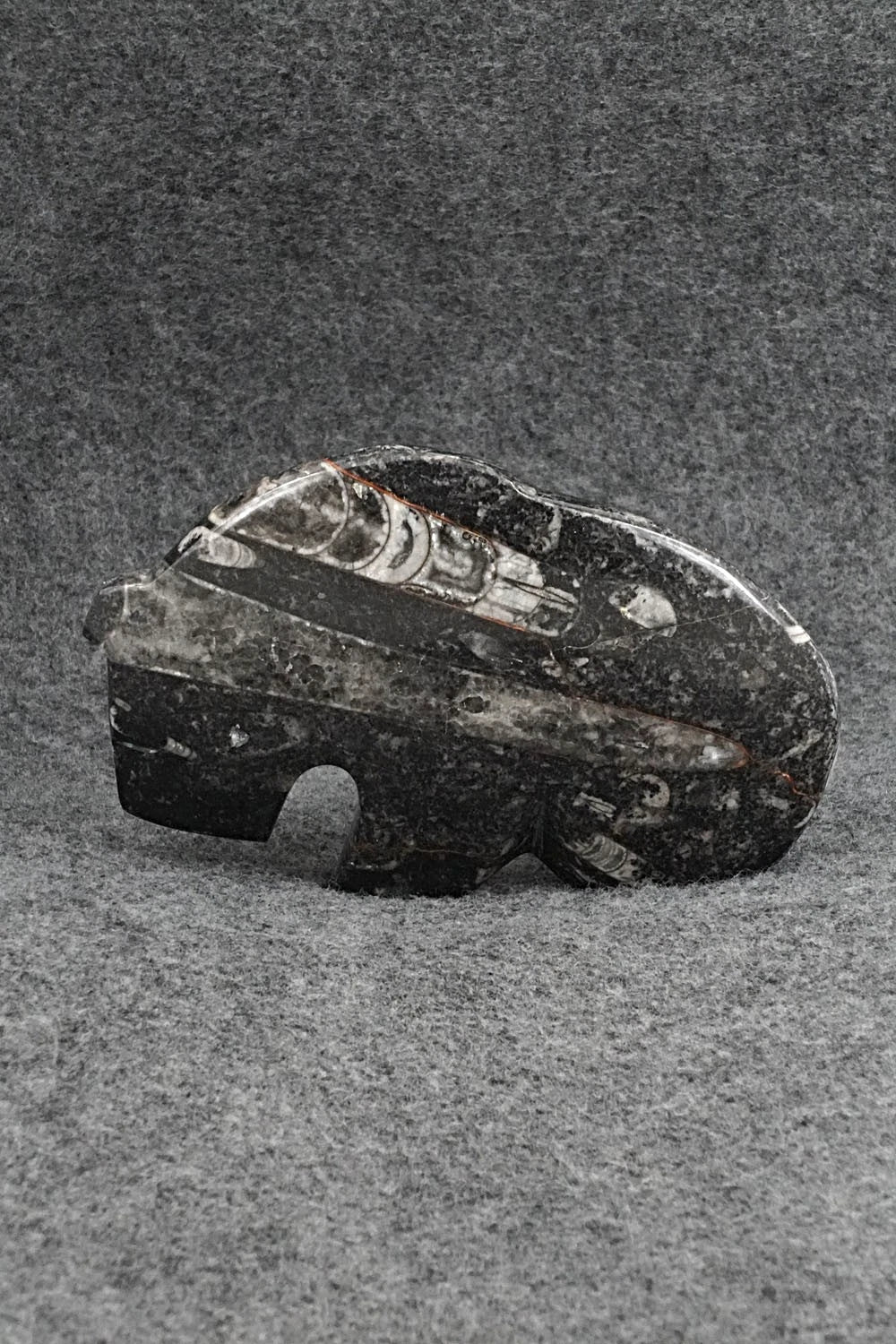 Bear Zuni Fetish Carving - Kenric Laiwakete