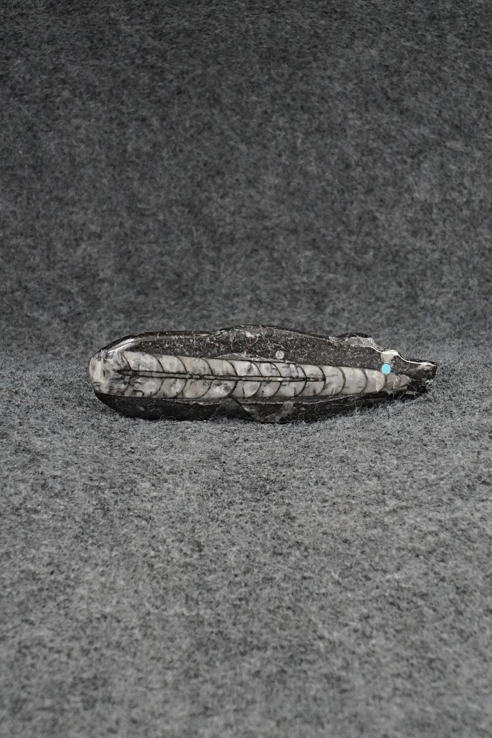 Bear Zuni Fetish Carving - Bernard Laiwakete