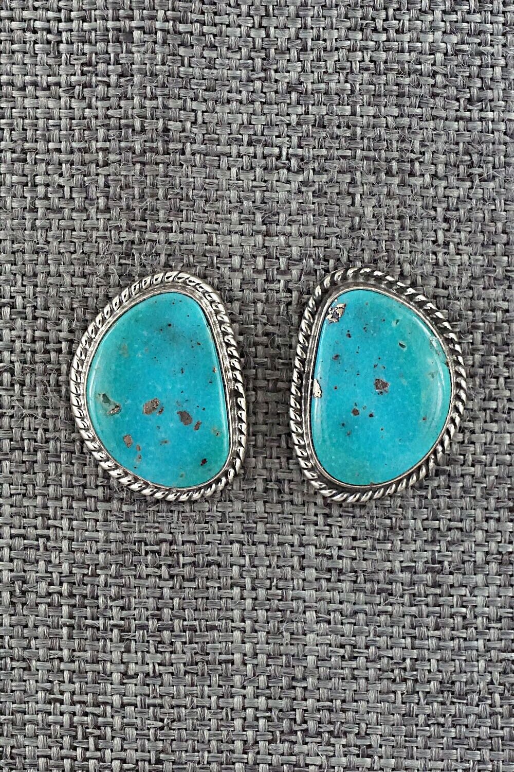 Turquoise & Sterling Silver Earrings - Sharon McCarthy