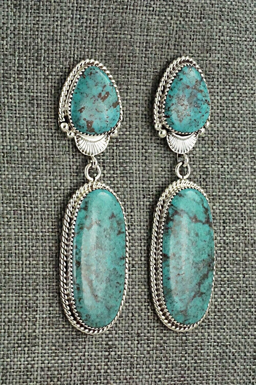 Turquoise and Sterling Silver Earrings - Anthony Brown