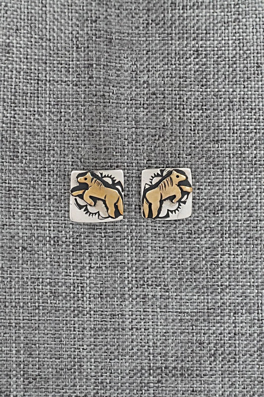 Sterling Silver Earrings - Rosita Singer