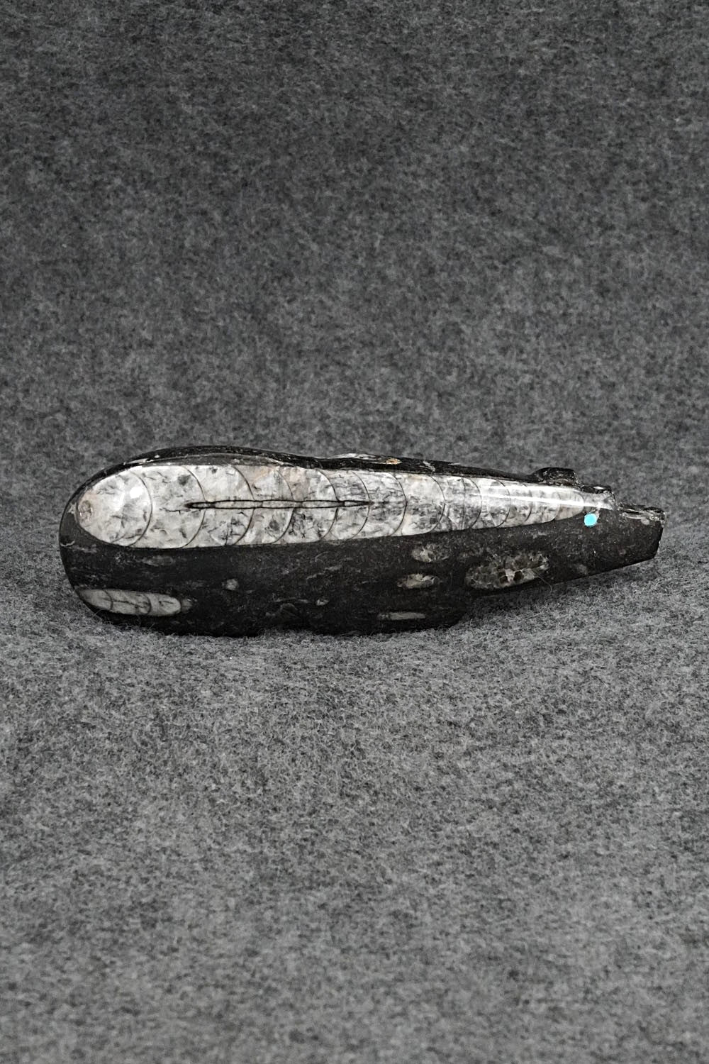 Bear Zuni Fetish Carving - Bernard Laiwakete