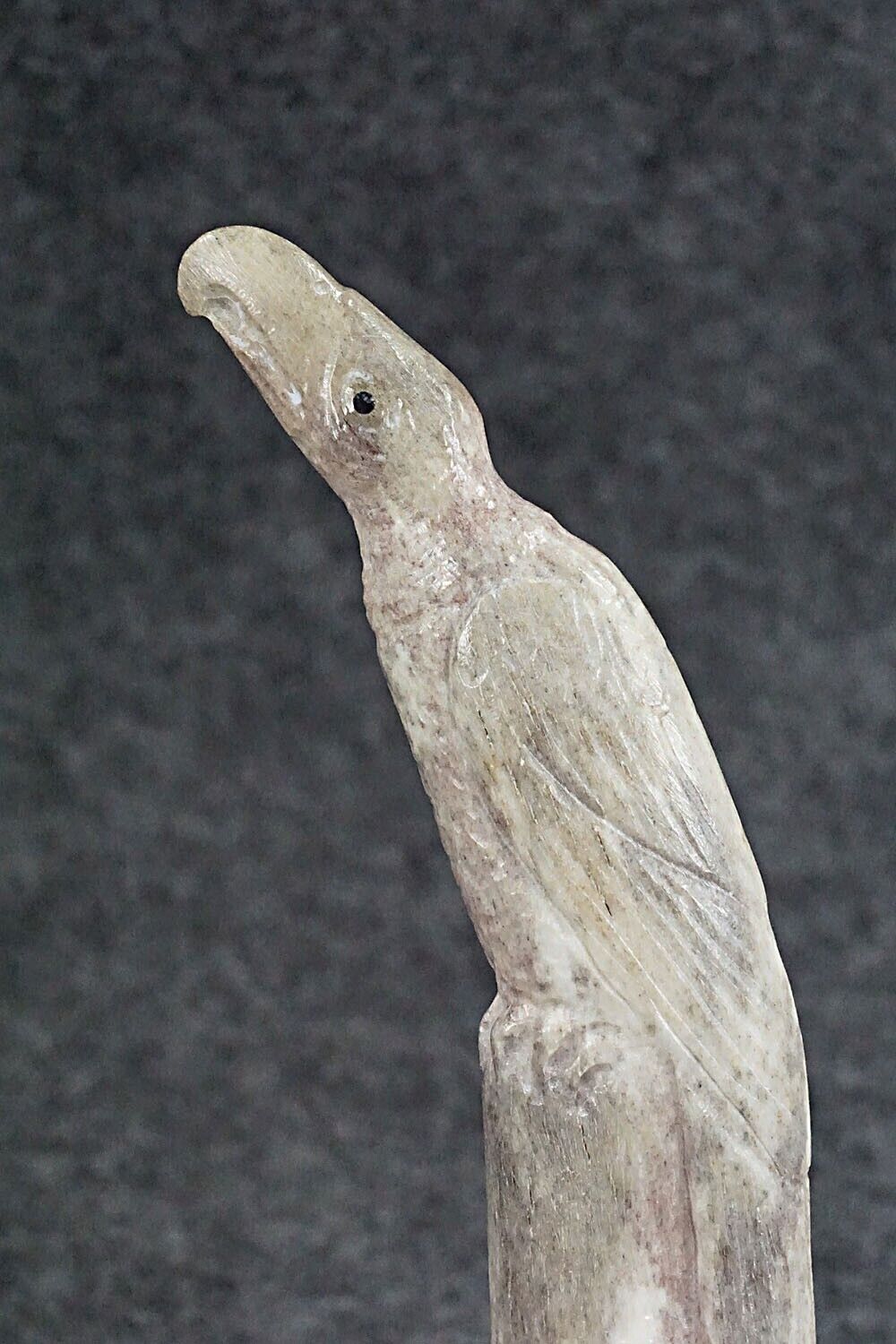 Eagle Zuni Fetish Carving - Maxx Laate