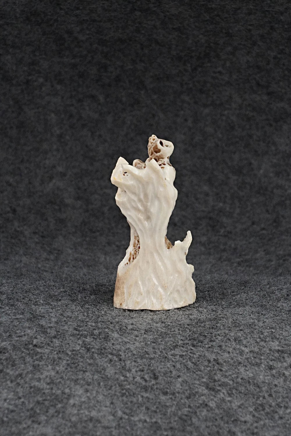 Bear Zuni Fetish Carving - Ruben Najera