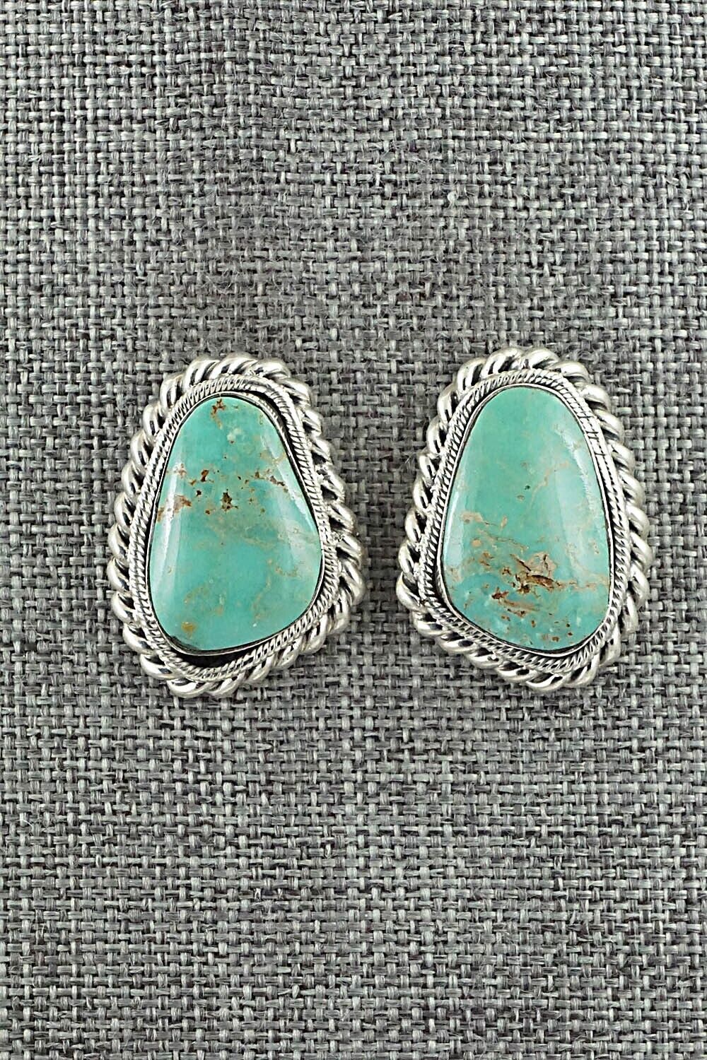 Turquoise & Sterling Silver Earrings - Sharon McCarthy