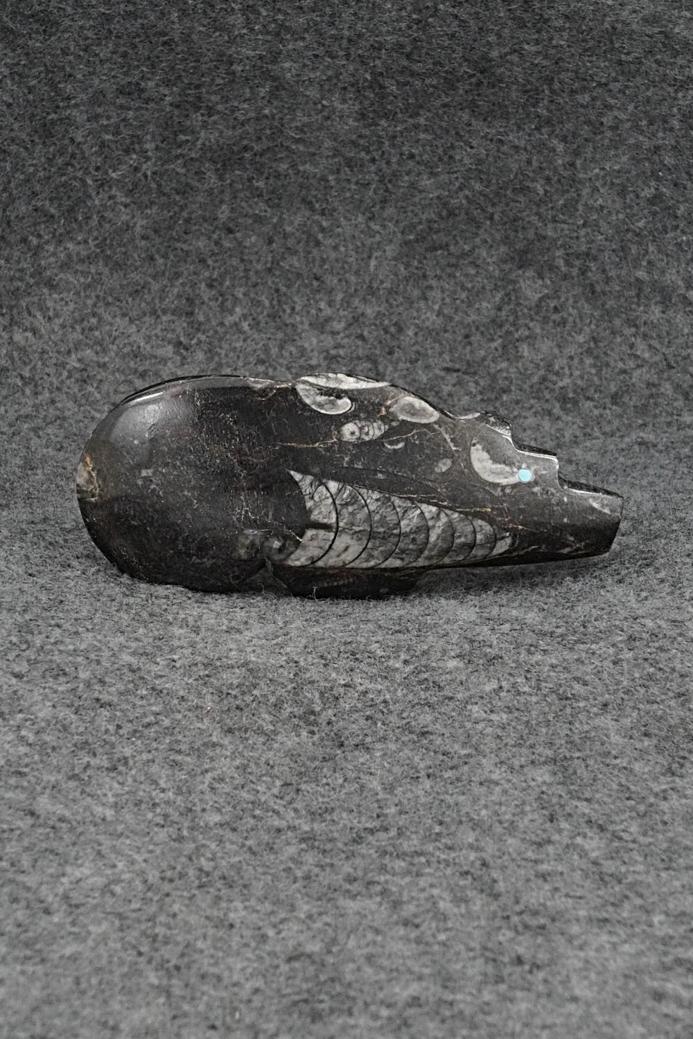 Bear Zuni Fetish Carving - Bernard Laiwakete