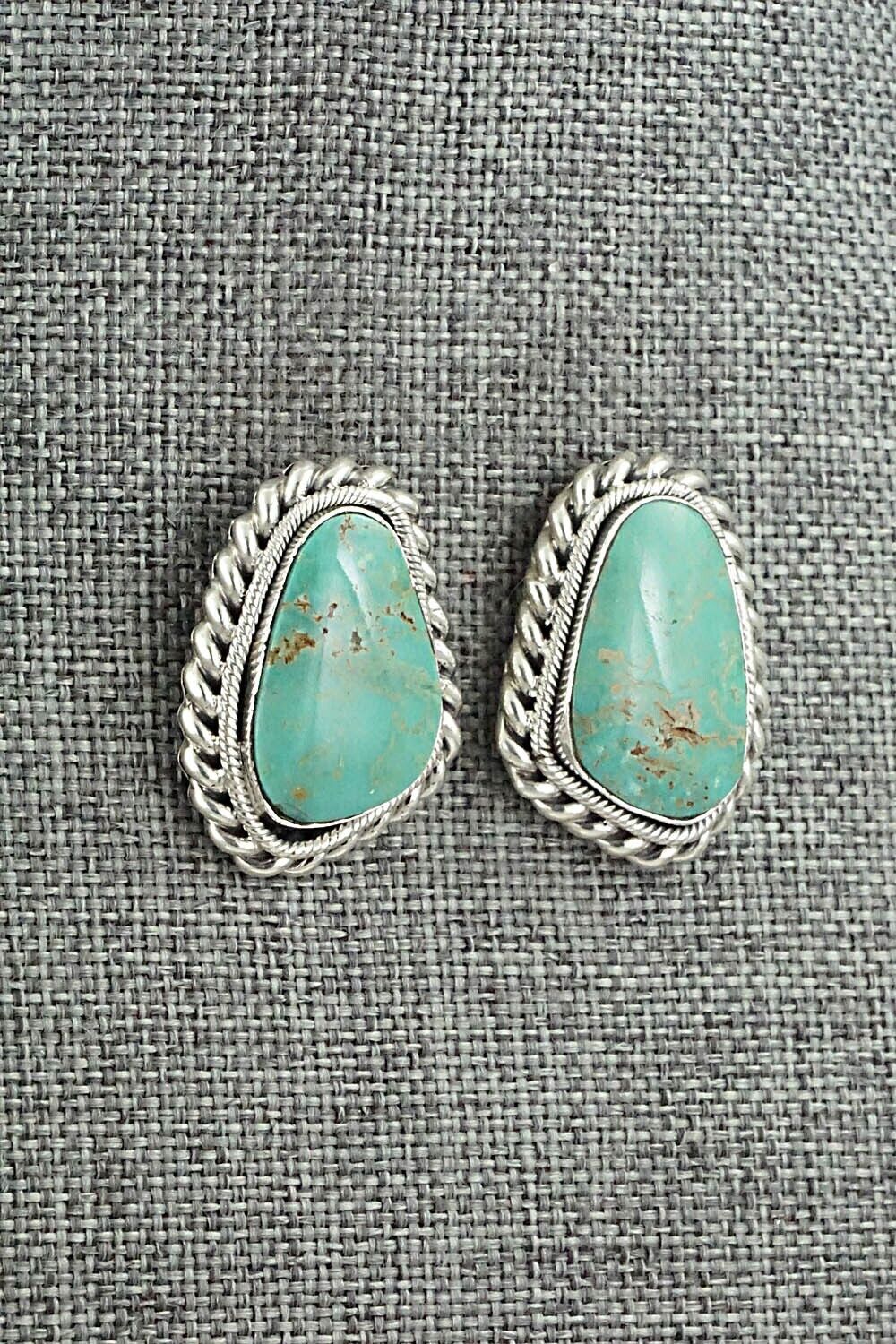 Turquoise & Sterling Silver Earrings - Sharon McCarthy