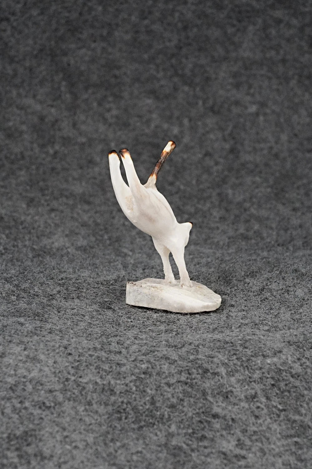 Cat Zuni Fetish Carving - Ruben Najera