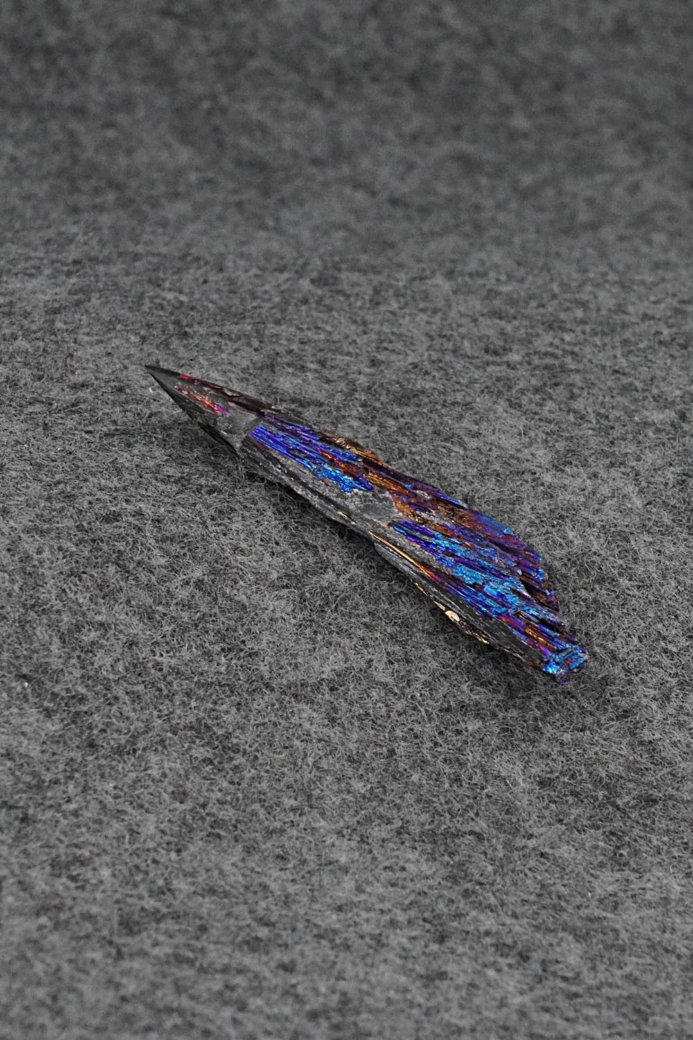 Porcupine Zuni Fetish Carving - Abby Quam Panteah