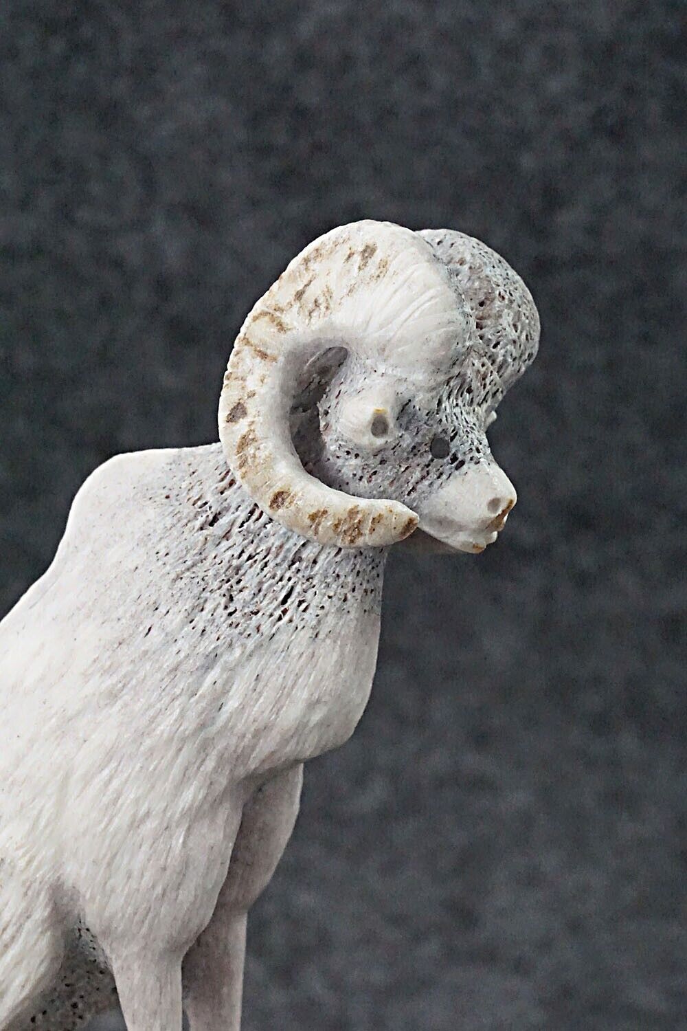 Ram Zuni Fetish Carving - Maxx Laate