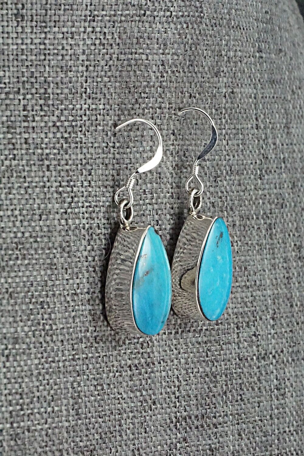 Turquoise & Sterling Silver Earrings - Sadie Jim