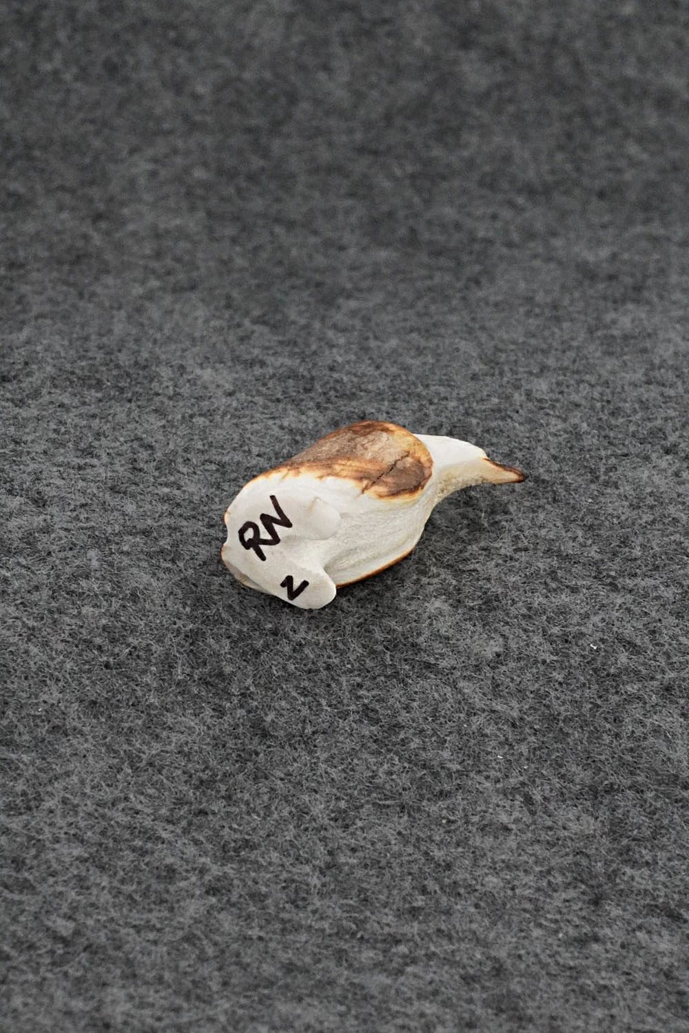 Penguin Zuni Fetish Carving - Ruben Najera