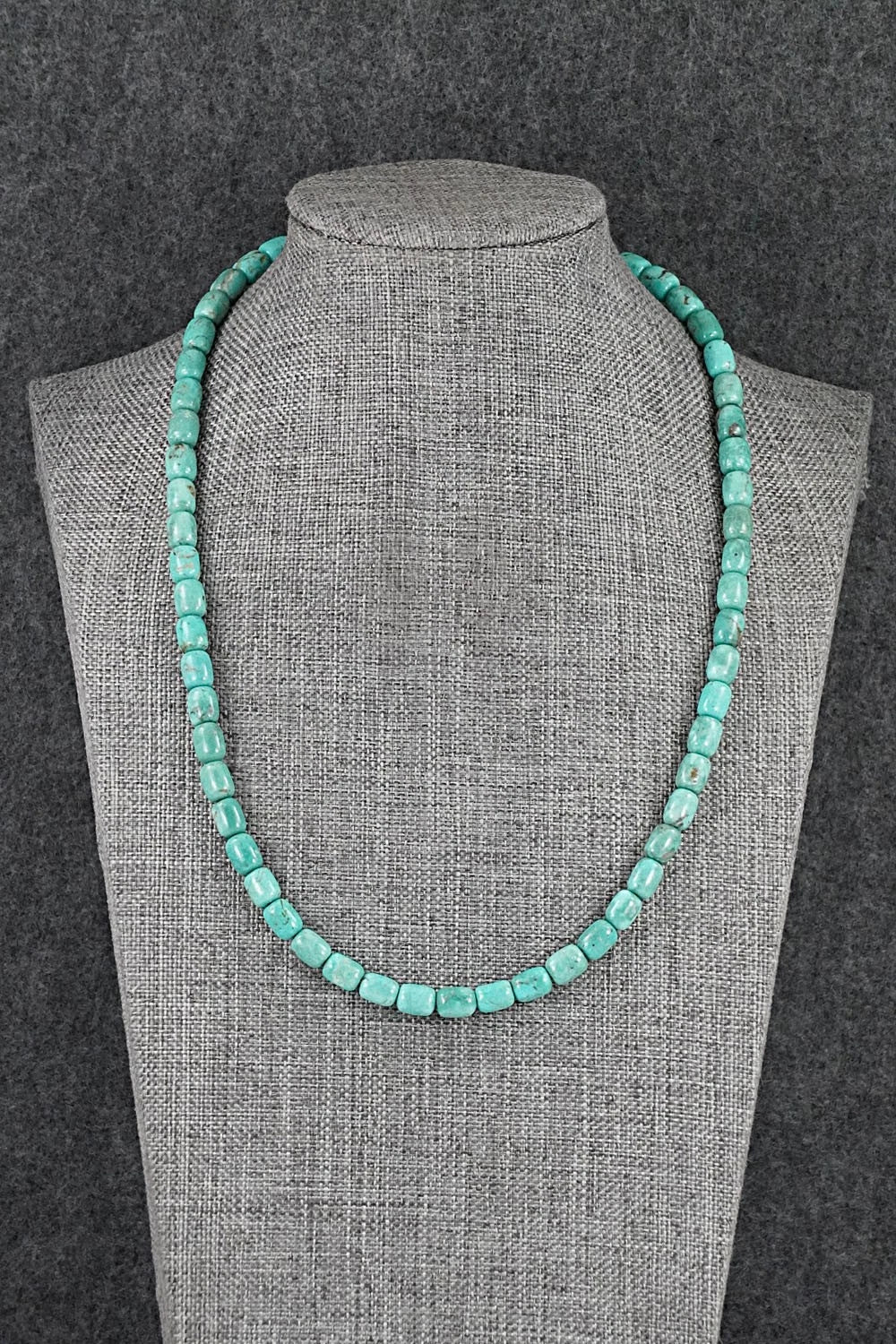 Turquoise & Sterling Silver Necklace 18" - Doreen Jake