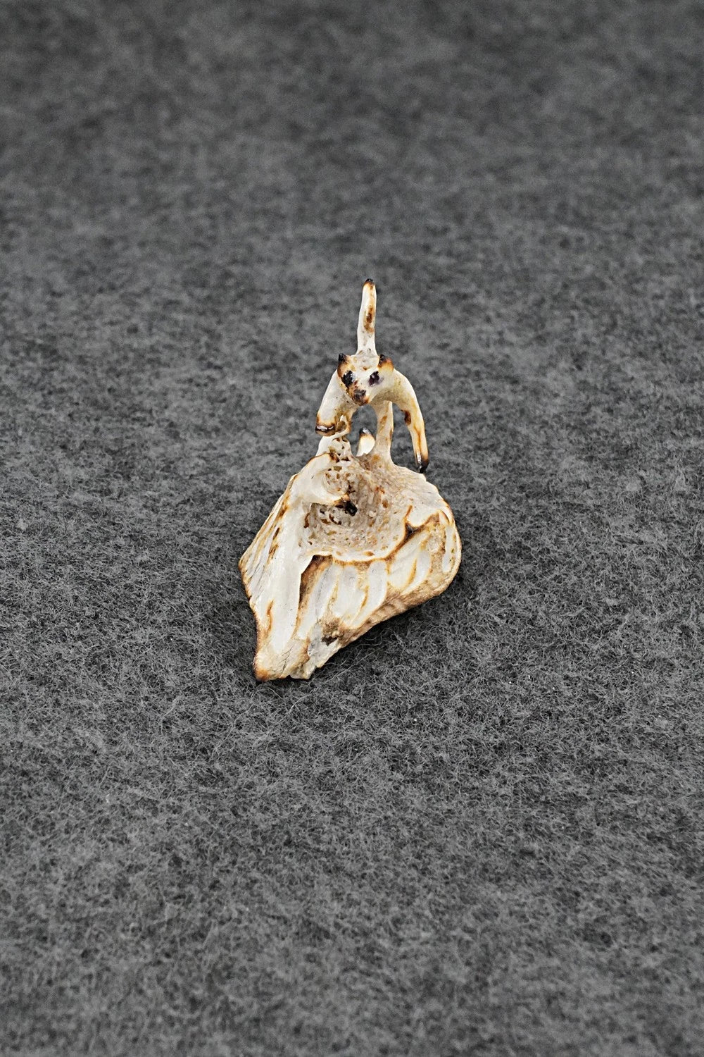 Cat Zuni Fetish Carving - Ruben Najera