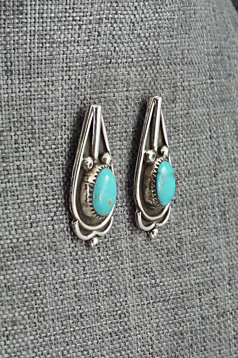 Turquoise and Sterling Silver Earrings - Priscilla Reeder