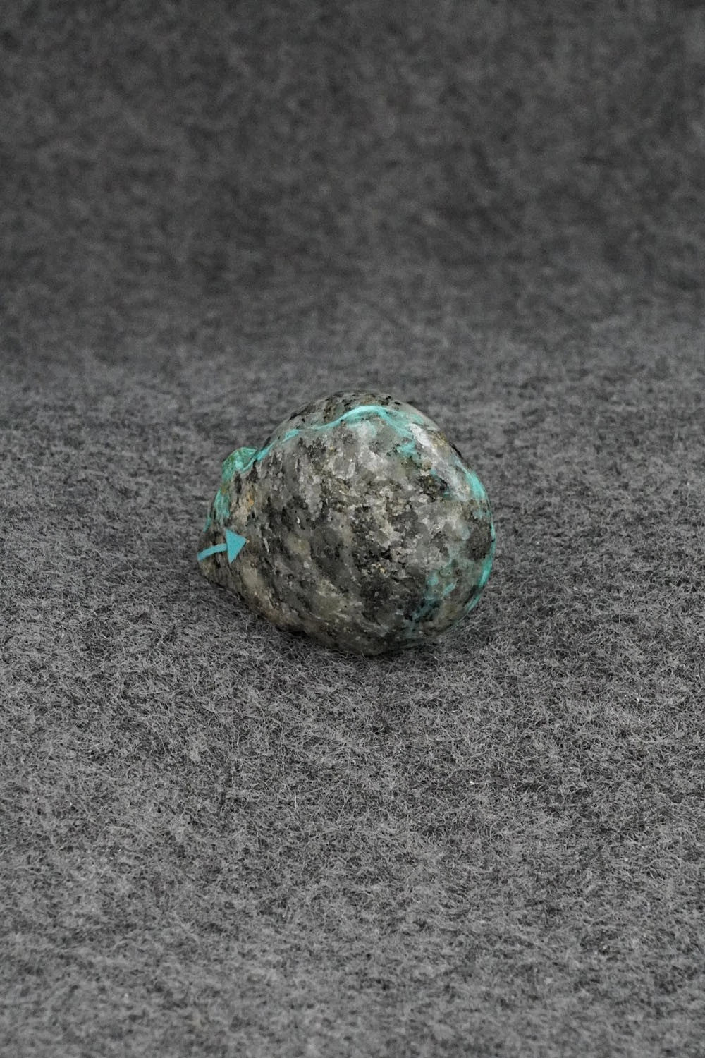 Bear Zuni Fetish Carving - Abby Quam Panteah