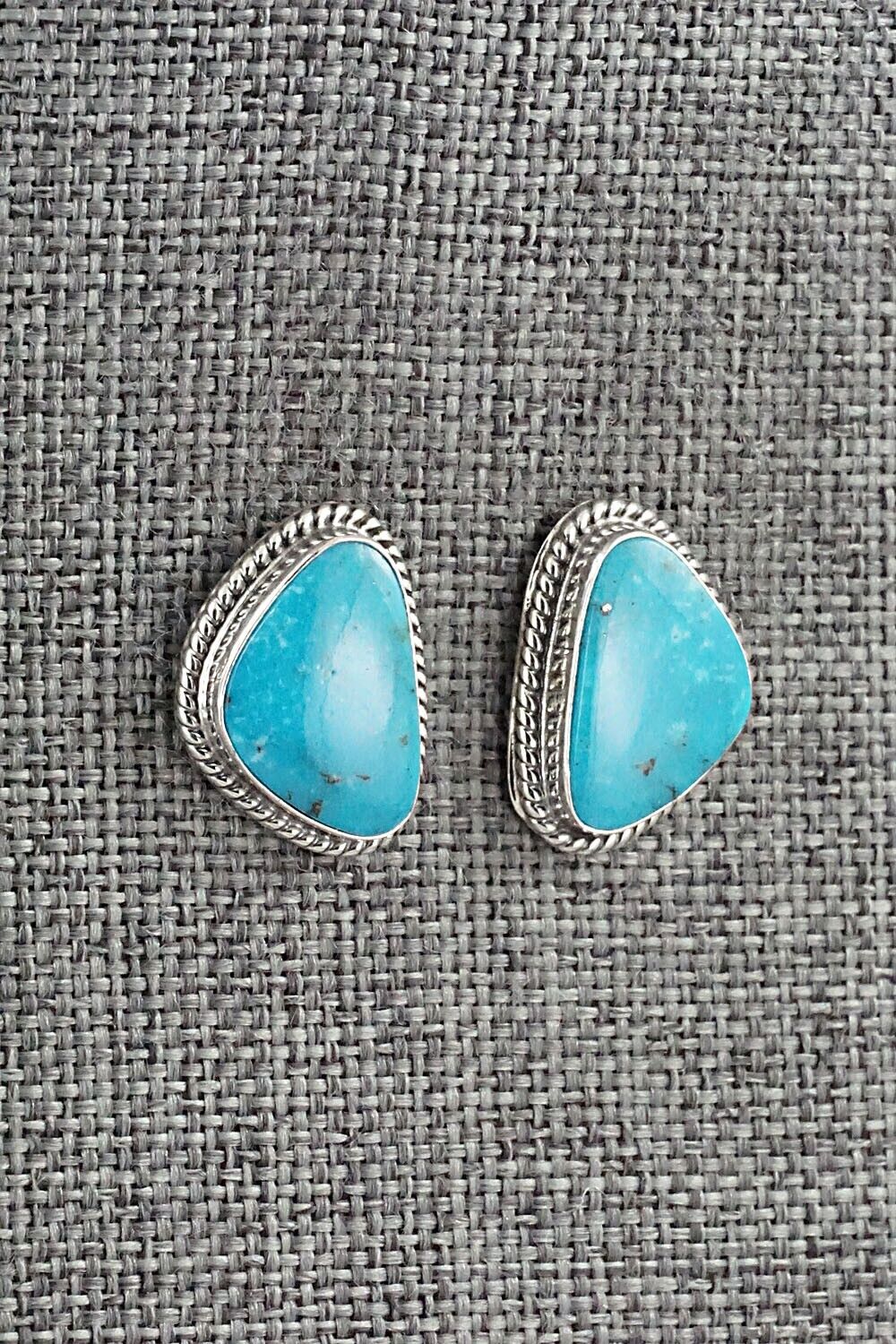 Turquoise & Sterling Silver Earrings - Sharon McCarthy