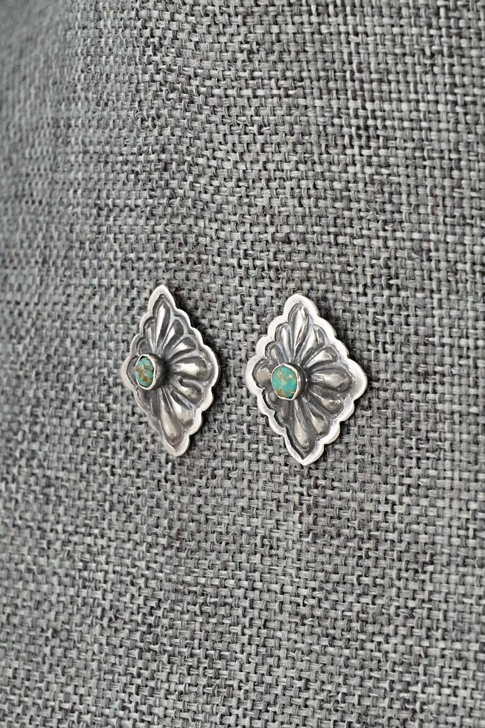 Turquoise & Sterling Silver Earrings - Terry Charlie