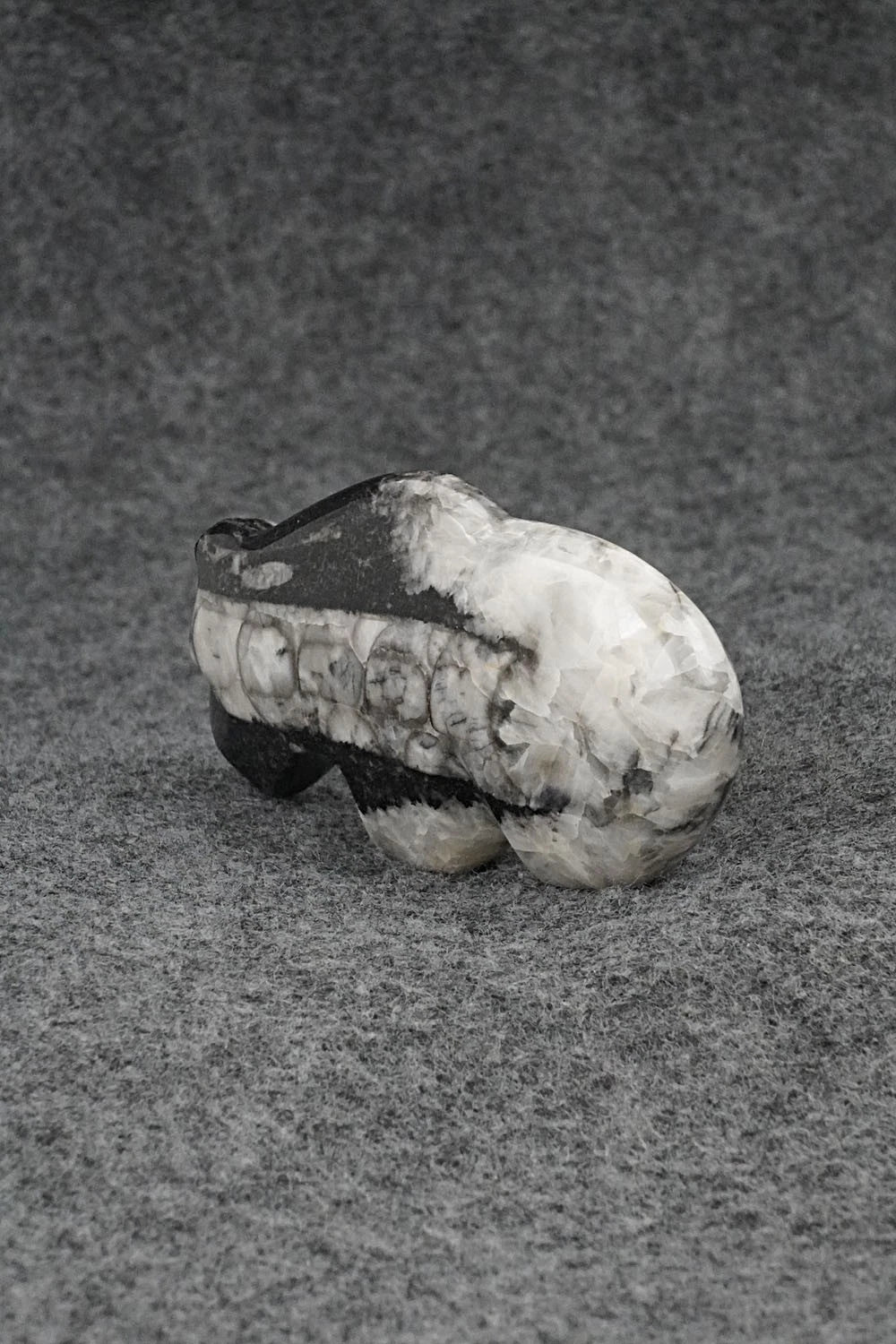 Bear Zuni Fetish Carving - Kenric Laiwekete