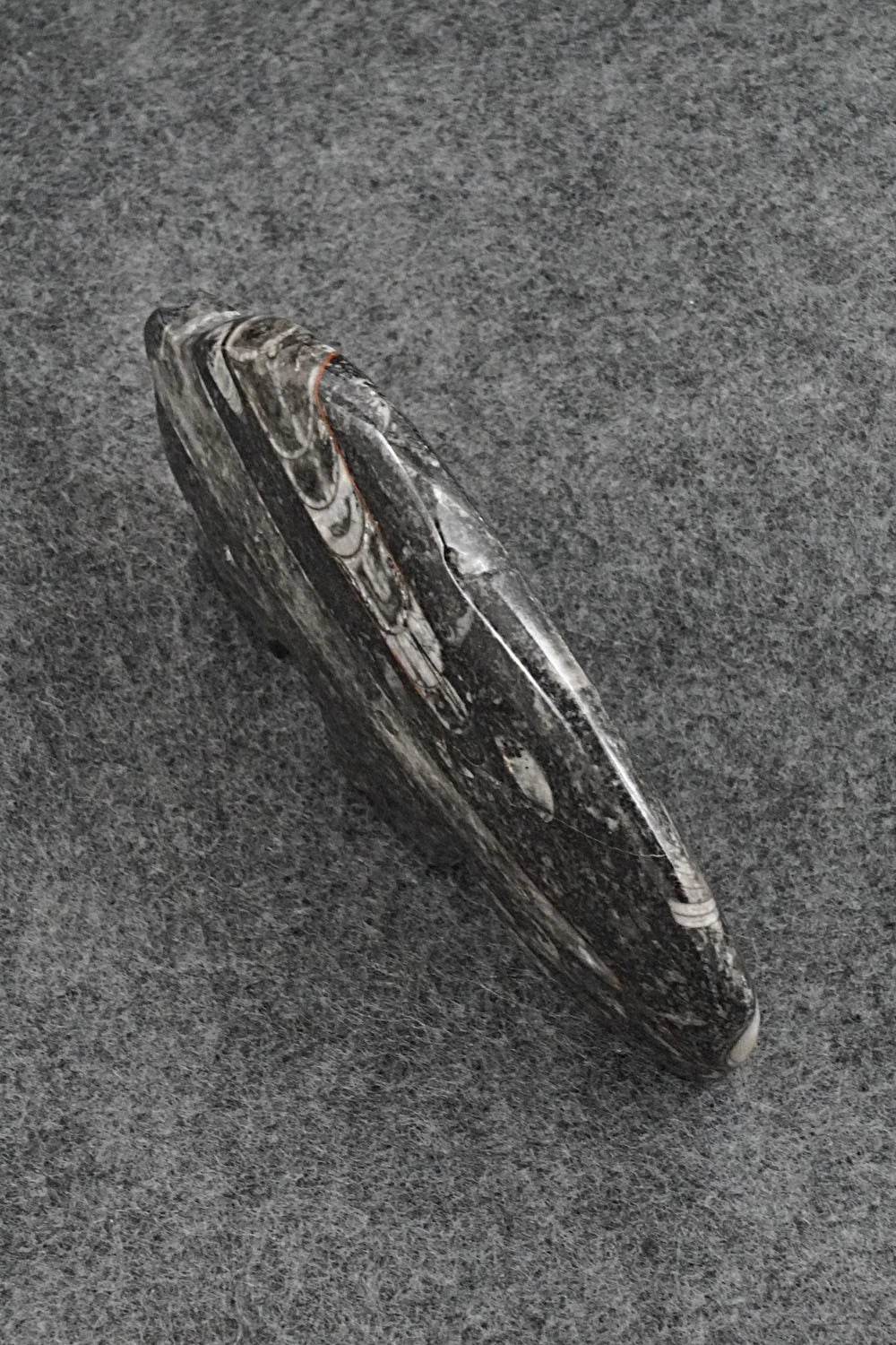 Bear Zuni Fetish Carving - Kenric Laiwakete