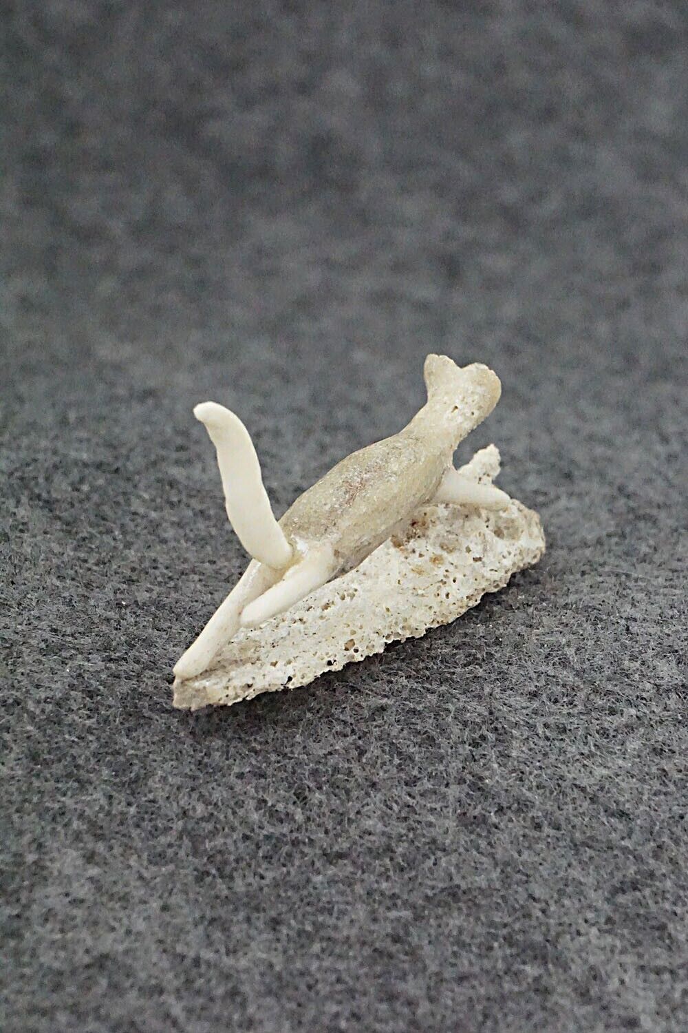 Wolf w/Mouse Zuni Fetish Carving - Ruben Najera