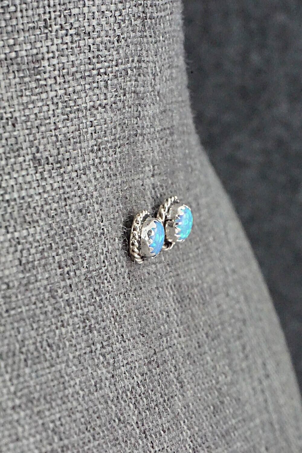 Opalite & Sterling Silver Earrings - Esther White