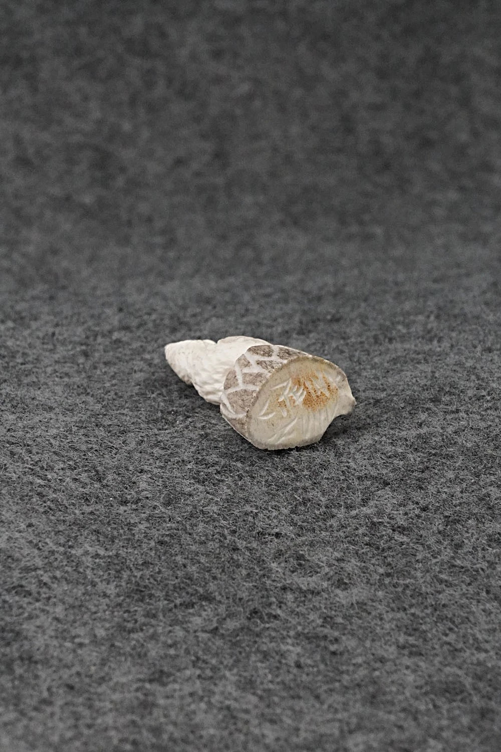 Parrot Zuni Fetish Carving - Chris Peina