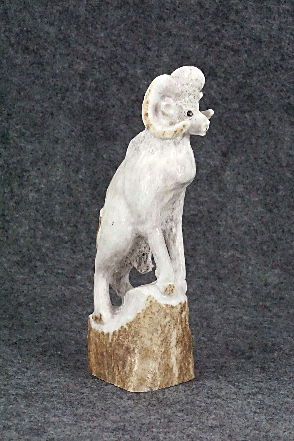 Ram Zuni Fetish Carving - Maxx Laate
