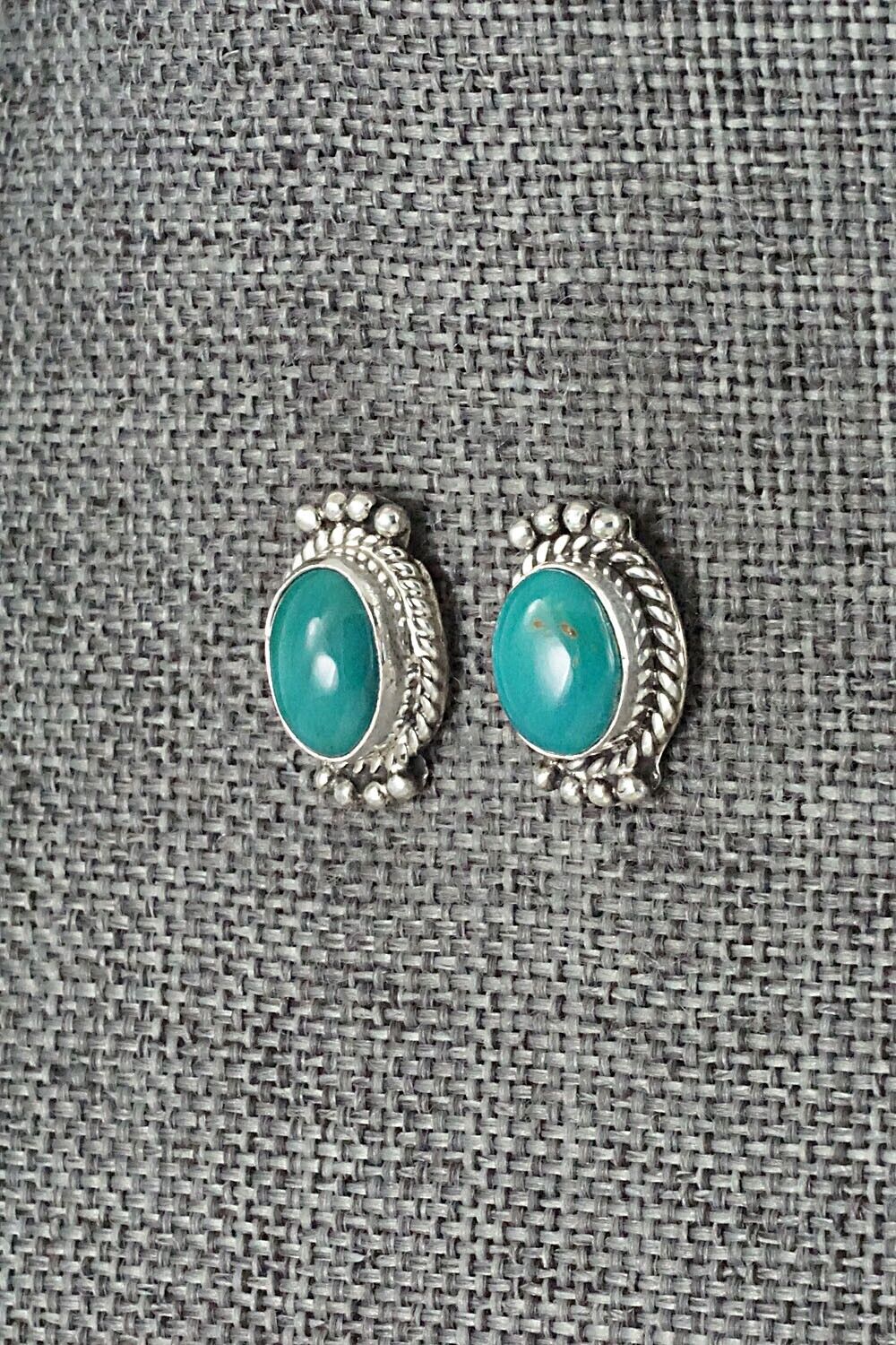 Turquoise & Sterling Silver Earrings - Jan Mariano
