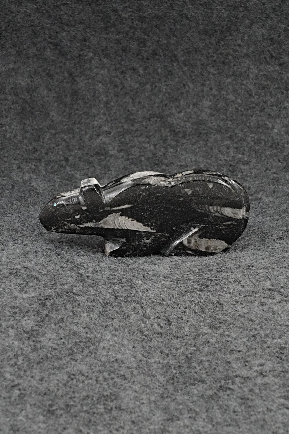 Mountain Lion Zuni Fetish Carving - Abby Quam Panteah