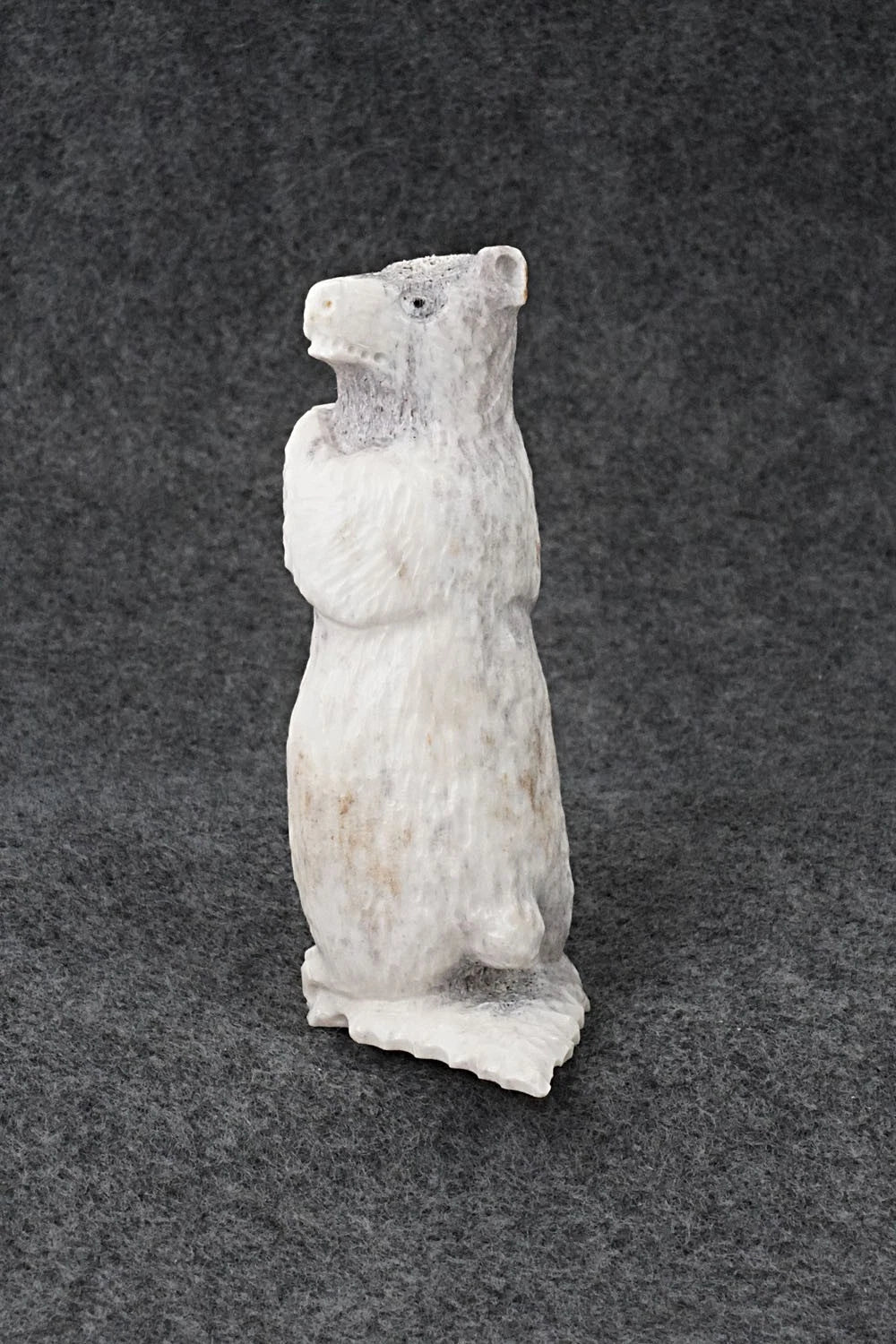 Bear Zuni Fetish Carving - Maxx Laate
