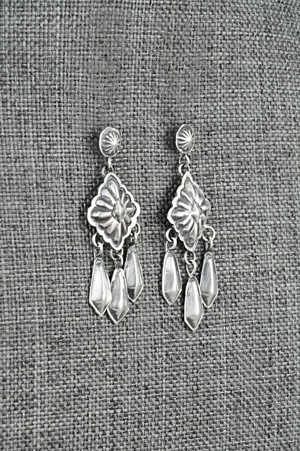 Sterling Silver Earrings - Terry Charlie