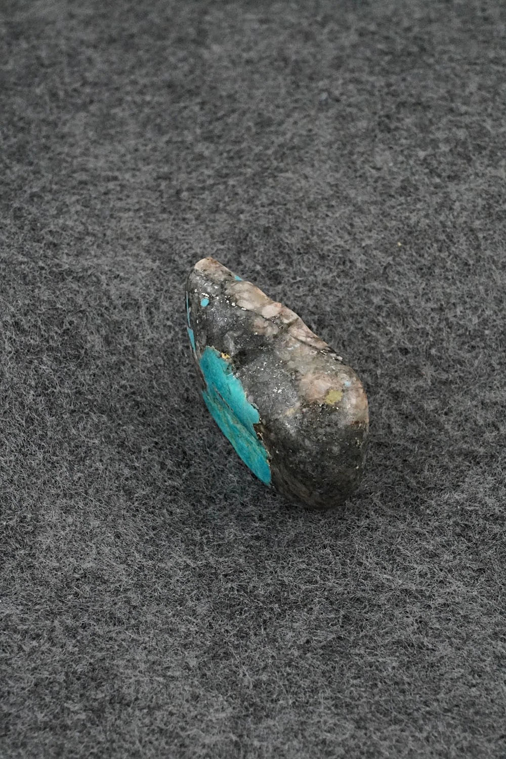 Bear Zuni Fetish Carving - Abby Panteah Quam