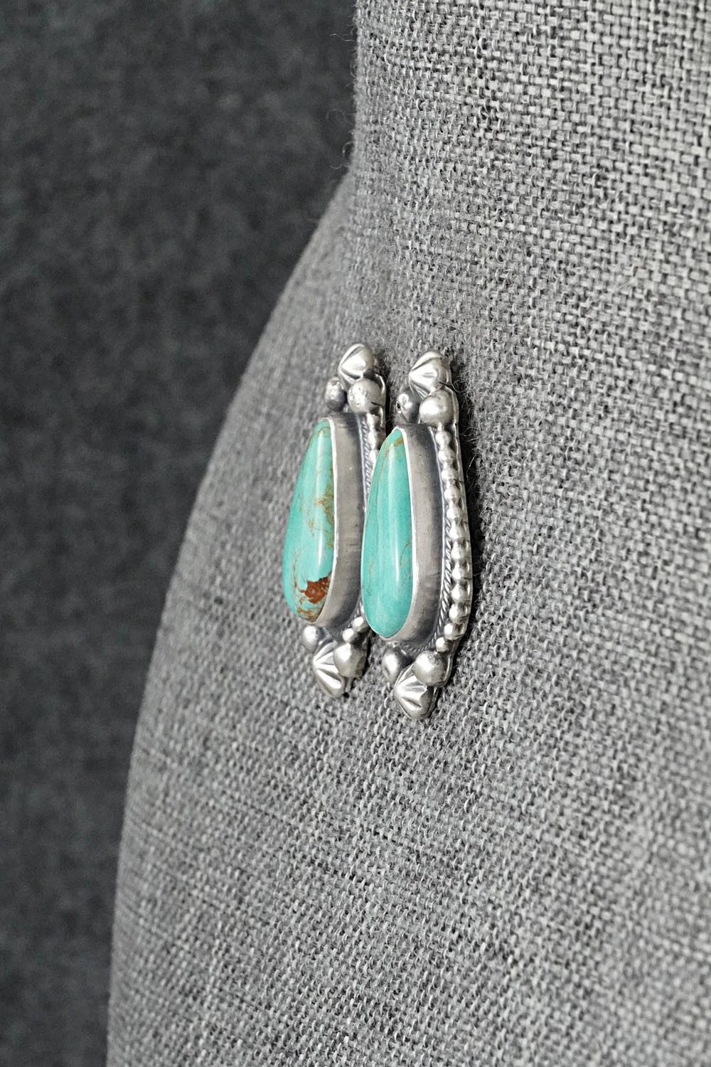 Turquoise & Sterling Silver Earrings - Darrin Livingston