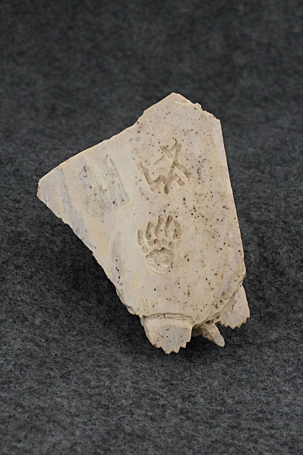 Turtle Zuni Fetish Carving - Adrian Cachini