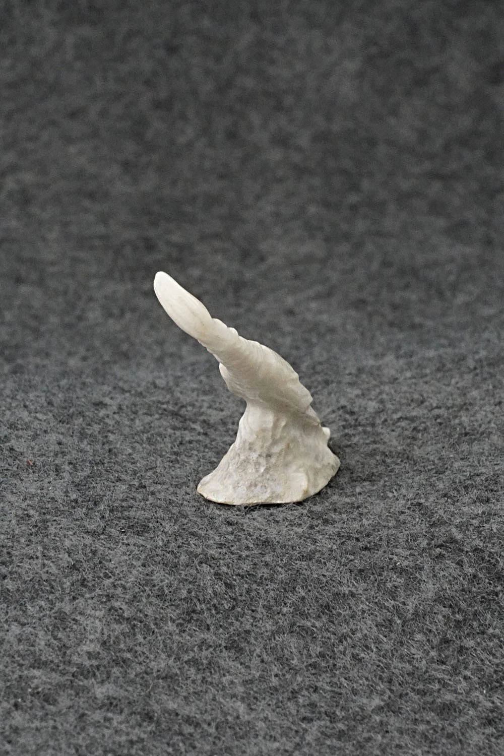 Quail Zuni Fetish Carving - Maxx Laate