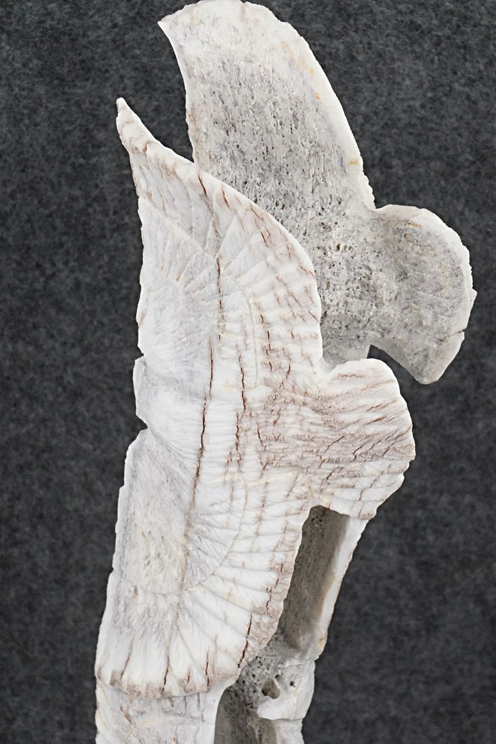Eagles Zuni Fetish Carving - Lewis Malie