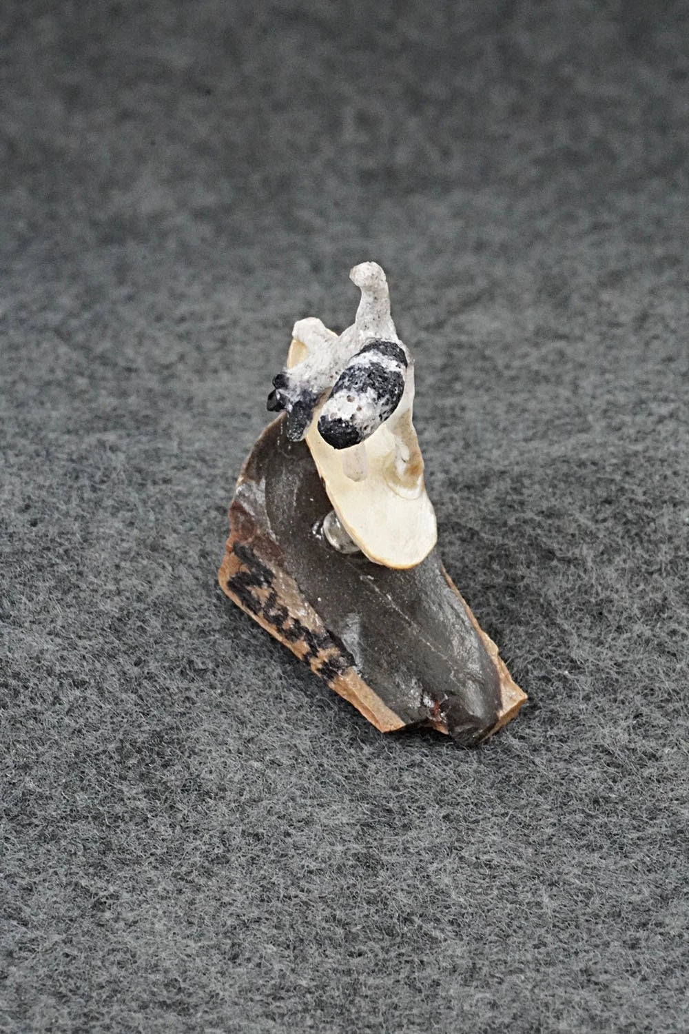 Raccoon Zuni Fetish Carving - Ruben Najera