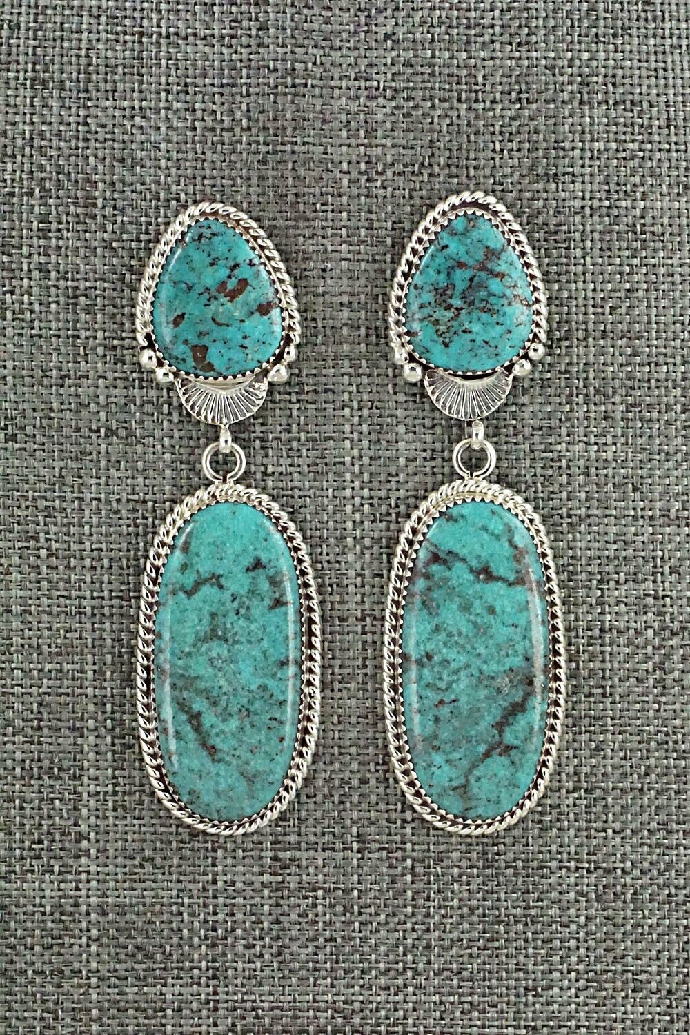 Turquoise and Sterling Silver Earrings - Anthony Brown