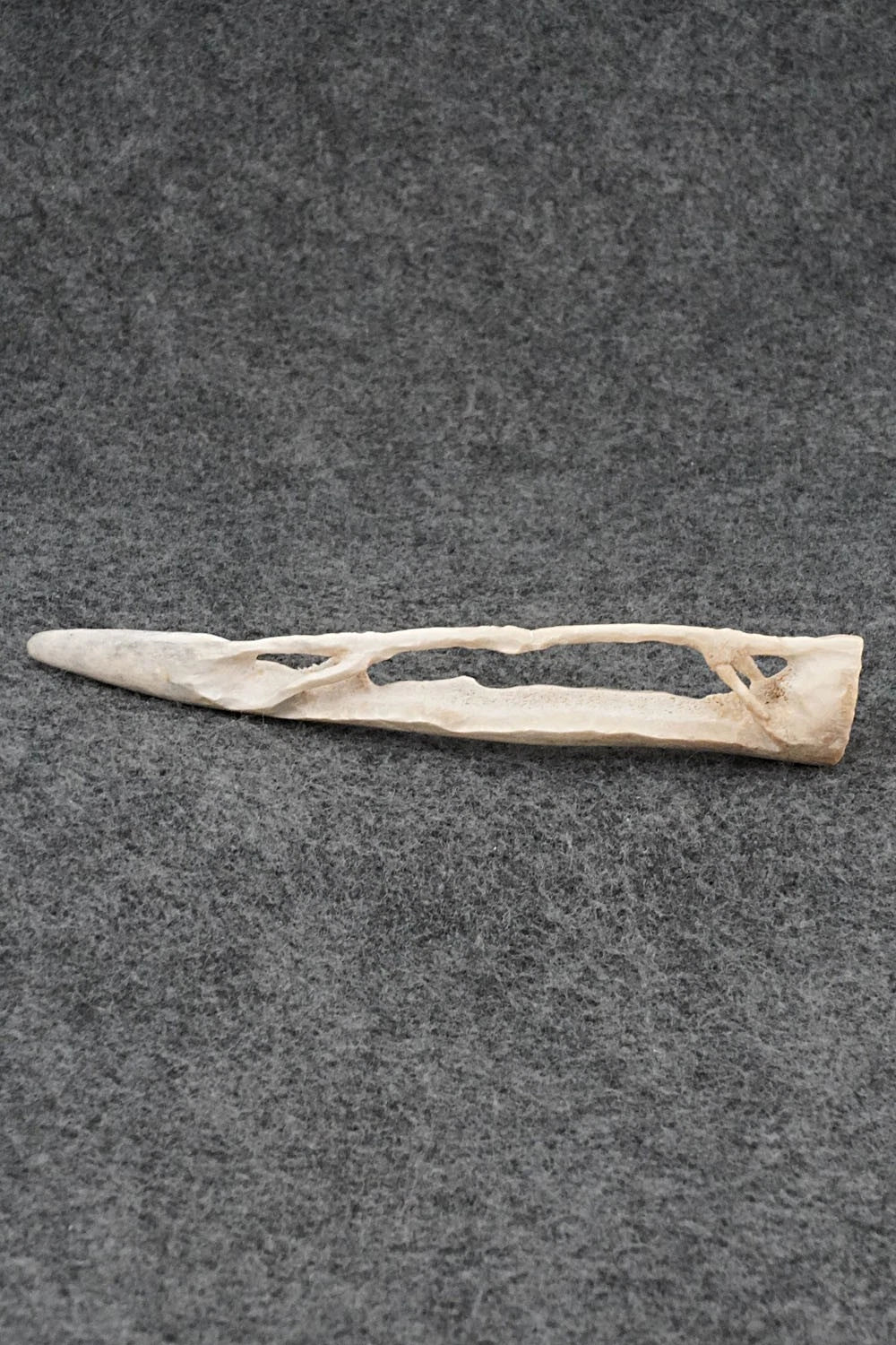Stick Bug Zuni Fetish Carving - Lewis Malie Jr.