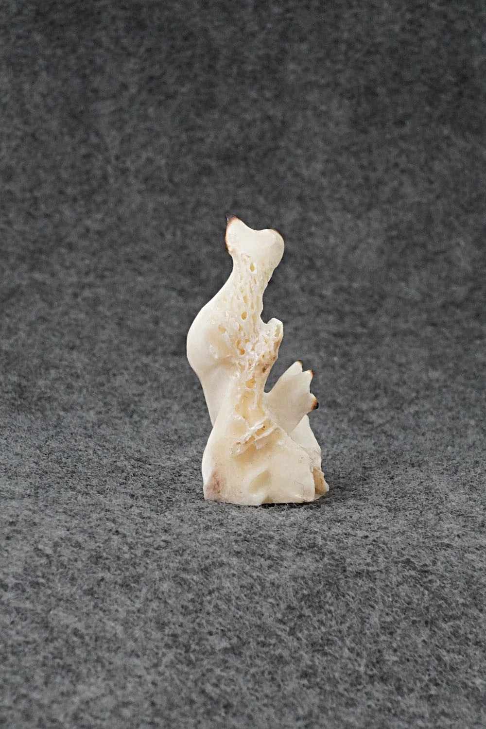 Cat Zuni Fetish Carving - Ruben Najera