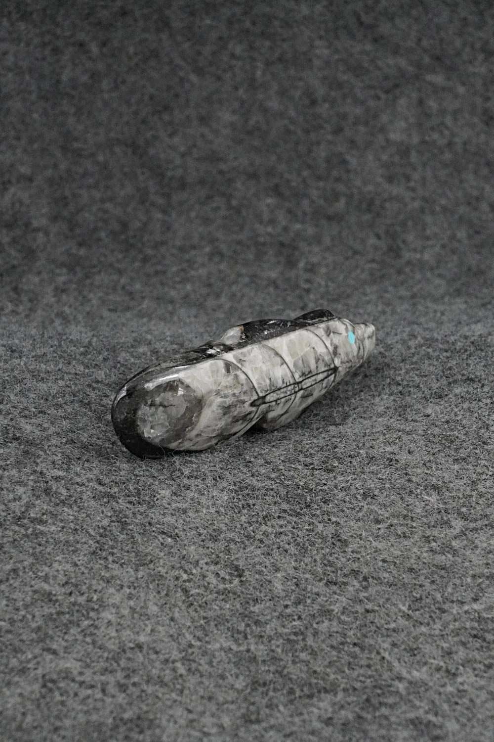 Bear Zuni Fetish Carving - Bernard Laiwakete