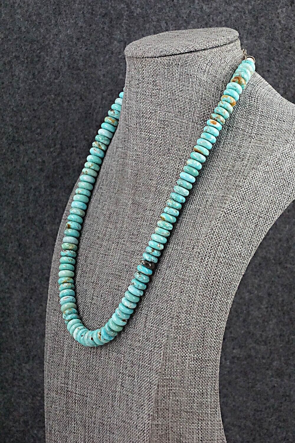 Turquoise & Sterling Silver Necklace 19" - Doreen Jake