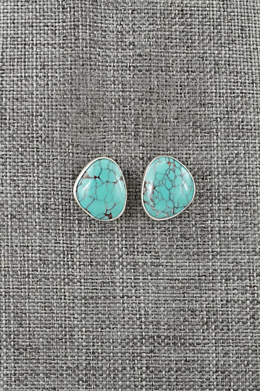 Turquoise & Sterling Silver Earrings - Eugene Gruber