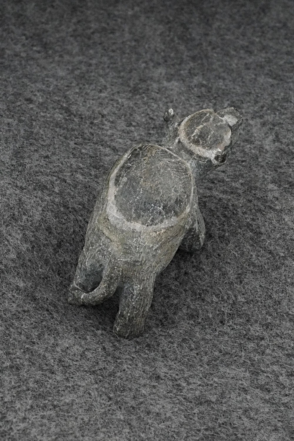 Buffalo Zuni Fetish Carving - Derrick Kammasee