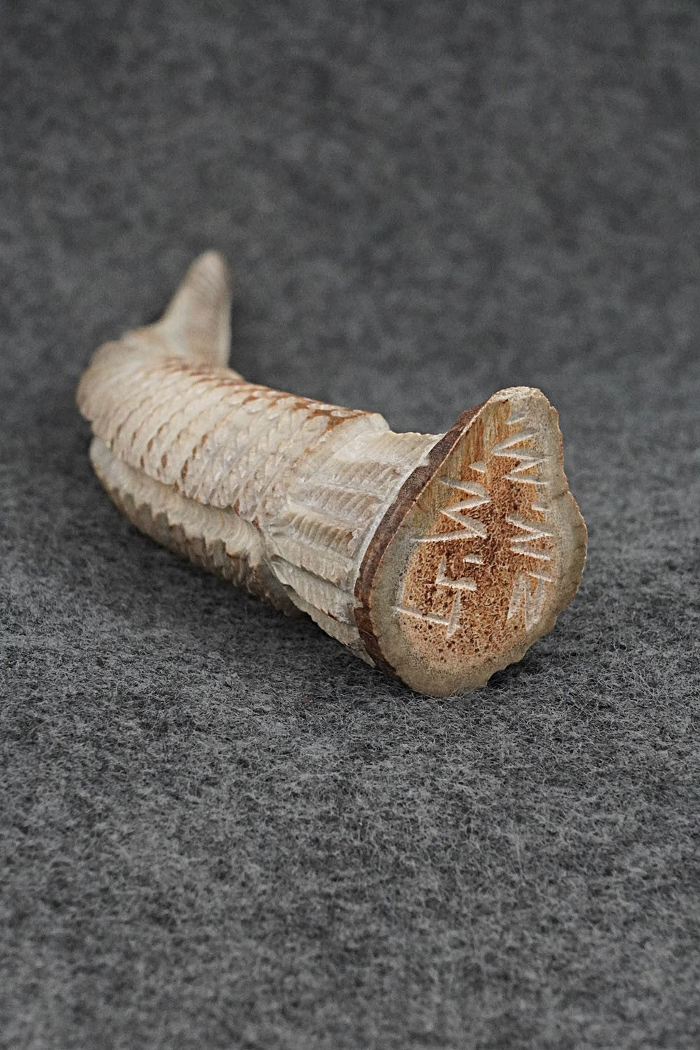 Eagle Zuni Fetish Carving - Garrick Weeka