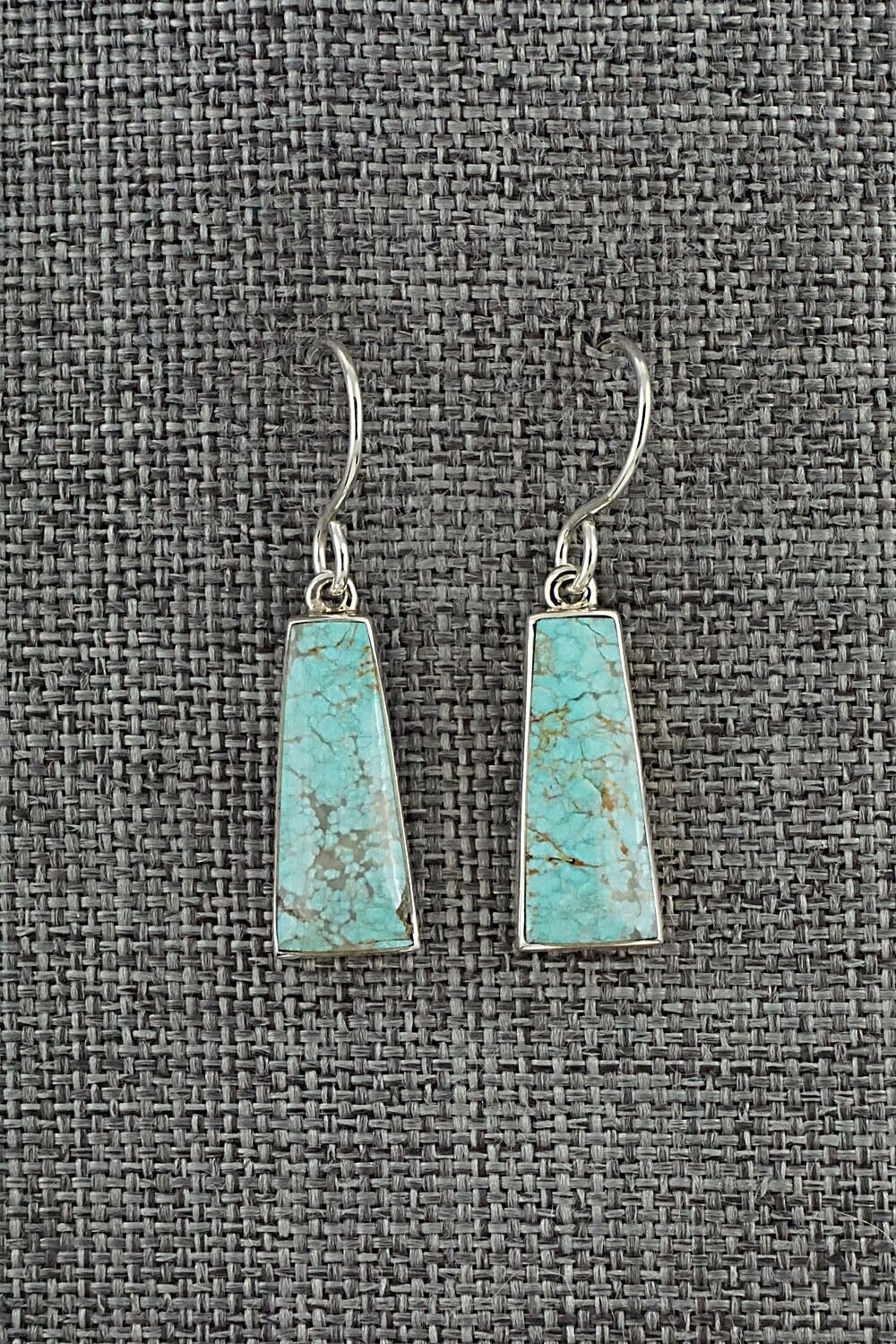 Turquoise & Sterling Silver Earrings - Cathy Webster